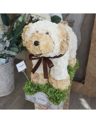 Flower Doggie – perro de argentina