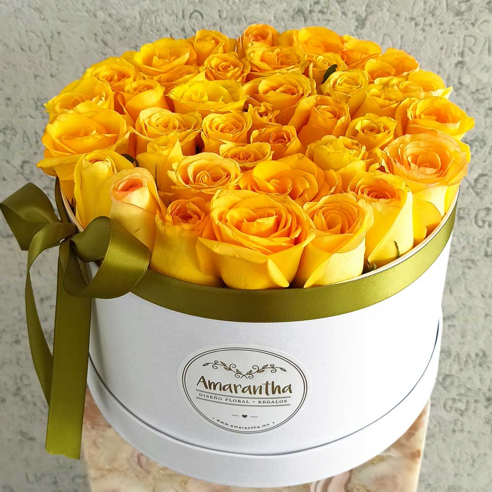 Regala rosas amarillas